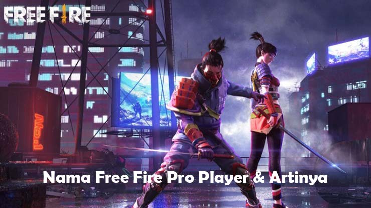 4. Nama Free Fire Pro Player Artinya