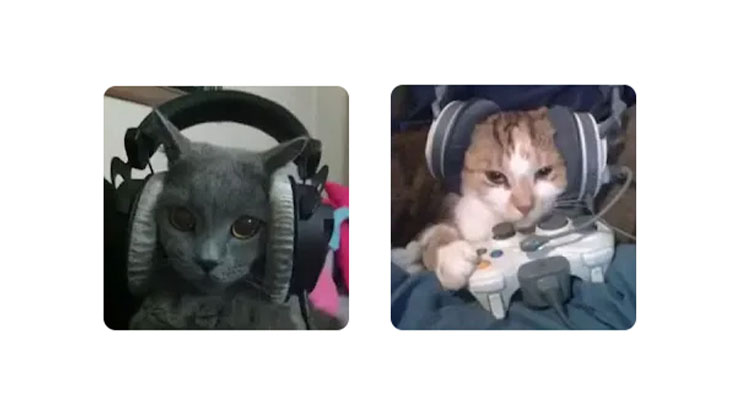 PP Couple Terpisah Kucing Pakai Heagset