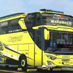 Livery Bussid Bus Asyrof