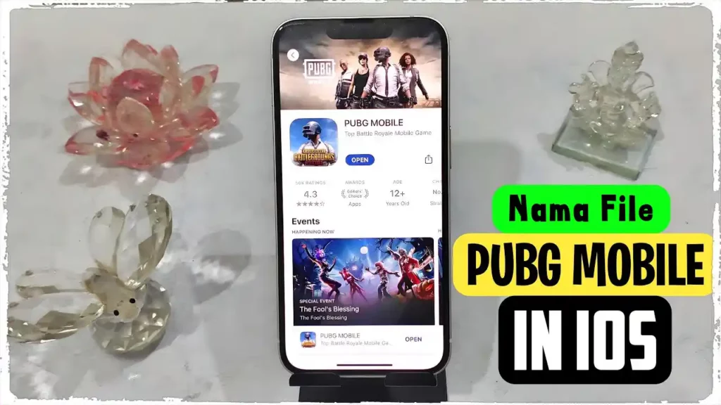 Nama File PUBG di File Manager iOS