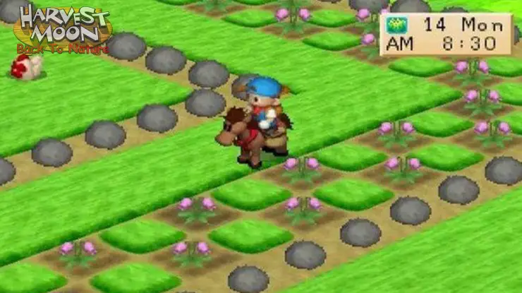 Cara Merawat Kuda di Harvest Moon