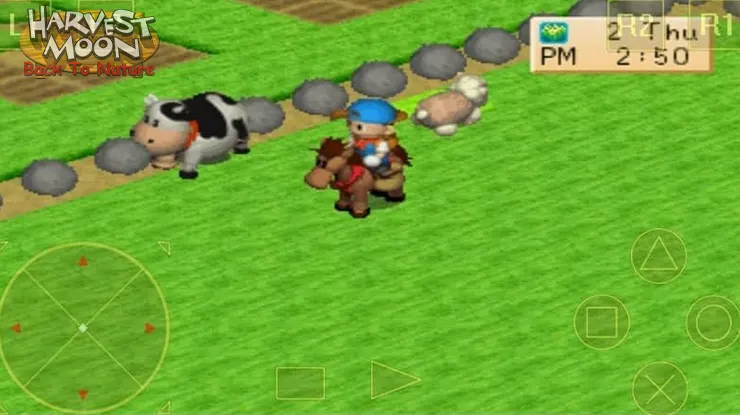 Kuda di Harvest Moon